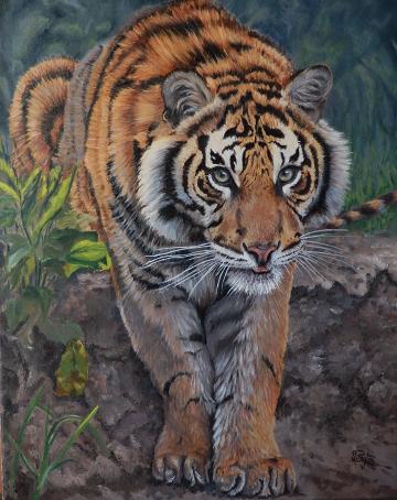 Little Shy - SOLD