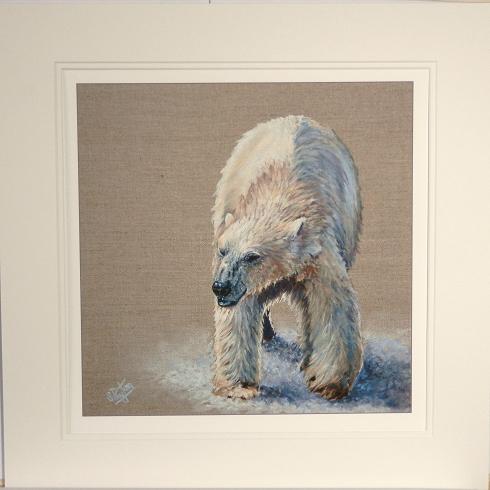 Polar Bear