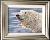 Polar Explorer polar bear