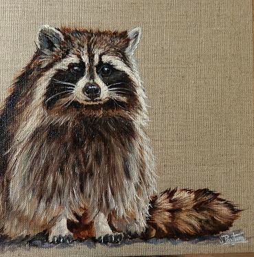 Raccoon