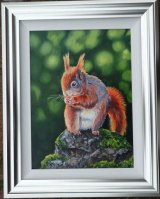 Red Squirrel.SOLD Red squirrel, sitting on a rock