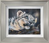 Resting Place. Sleepy snow leopard cub