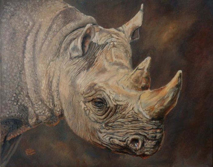 Rhino