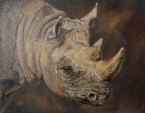 Rhino
