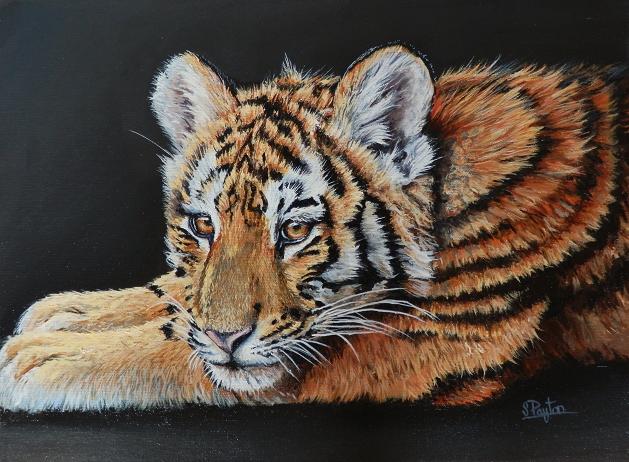 Sleepy Cub