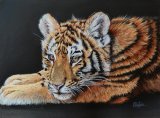 Sleepy Cub
