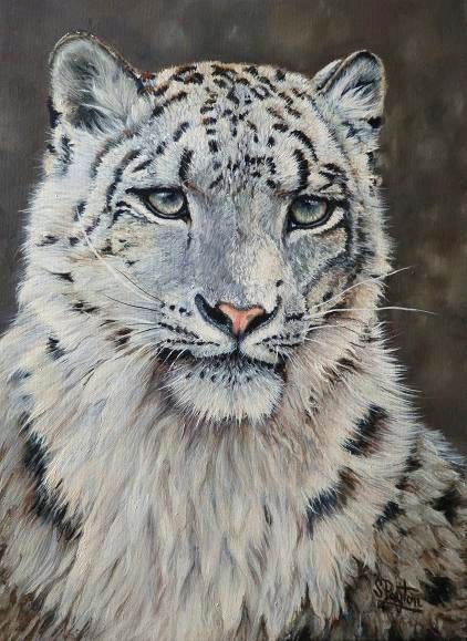 Snow Leopard