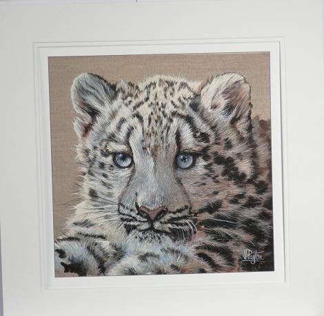 Snow Leopard Cub