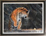 Mesmerized Tiger mess rises by a leaf