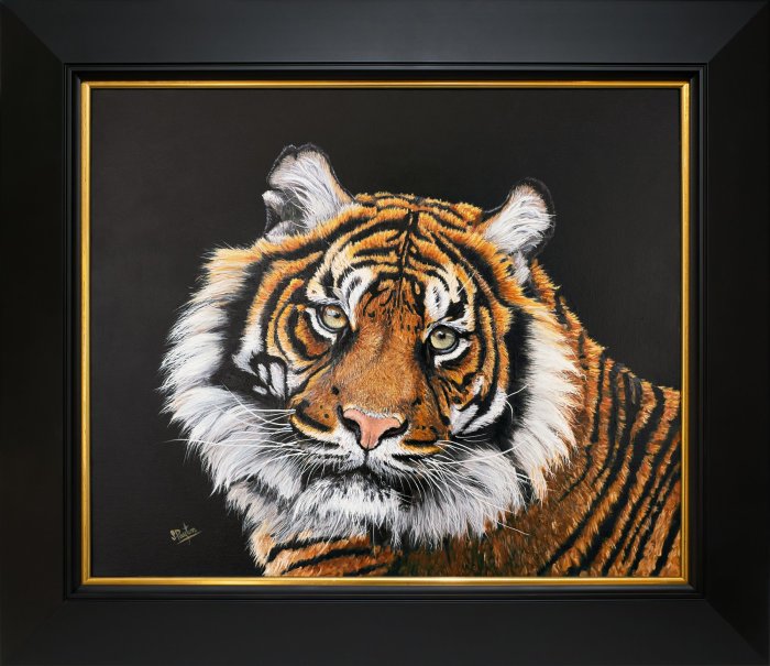 Sumatran tiger portrait
