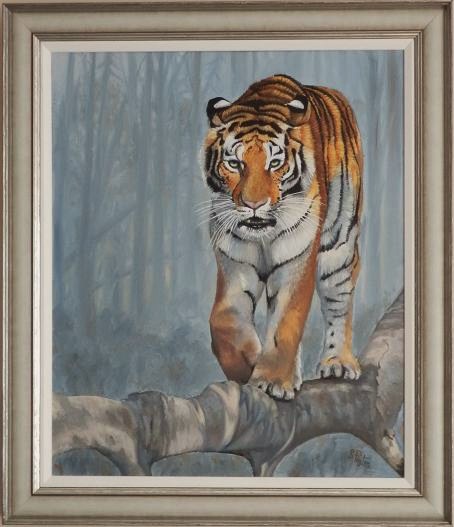 Siberian tiger walking along a branch
