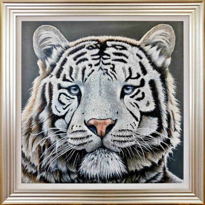 White tiger with blue eyes portrait