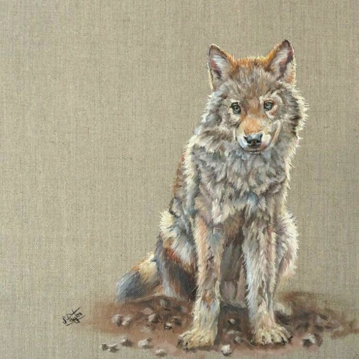 Young Wolf