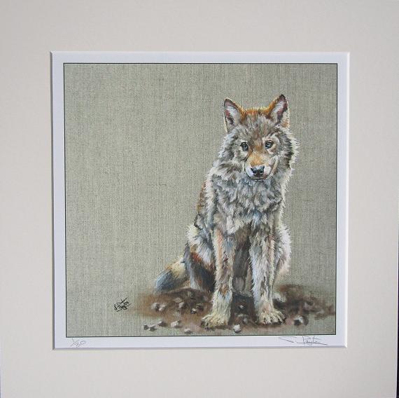 Young Wolf