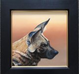 African Wild Dog