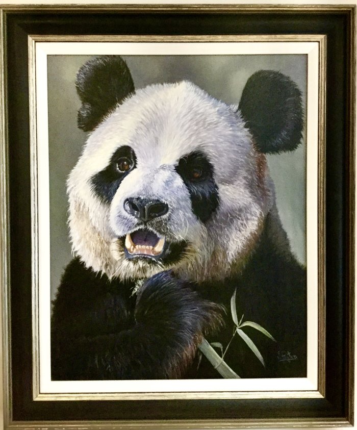 Panda eating bamboo