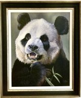Panda Panda eating bamboo