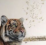 Tiger Time