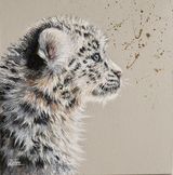 Snow Leopard cub