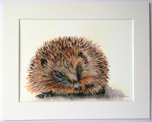 Hedgehog