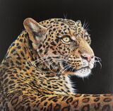 Leopard - SOLD