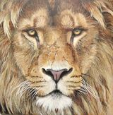 Lion King