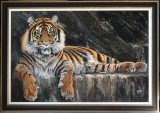 Relaxing Tiger relaxing on a rocky ledge.