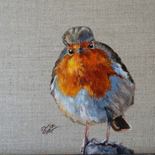 Robin #1