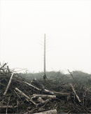 Craig Ogwr, 2010 (Detail)