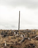 Pen Foel Aman, 2010 (Detail)