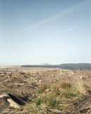 Tylorstown Tip, 1998