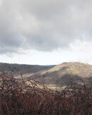 Tylorstown Tip, 1998