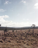 Tylorstown Tip, 1998