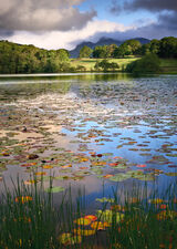 Loughrigg Tarn