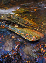 River Rocks