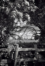 Appleby Church Spring lockdown