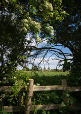 Spring, Appleby Magna