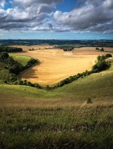 Dorset