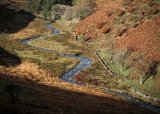 Exmoor River Barle