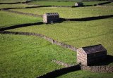 Gunnerside barns