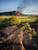 Bushfire, Kakadu, Northern Territory, Australia