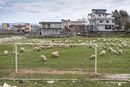 Jergucat near Gjirokastra in Southern Albania, 2015. <BR><BR><BR><br><br><br>