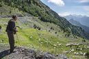 Shepherd with his flock on the Qafa e Terthores Pass on the road to Theth with the Albanian Alps in the background, Northern Albania.<br><br><br><br><br><br>