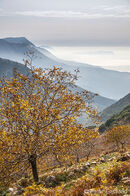 Autumn in the Taygetos mountains looking south toward the Deep Mani with Cavo Grosso in the distance, from above Kastania in the Outer Mani, Southern Peloponnese, Greece.<br><br><br><br><br><br>