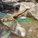 In the Karion Gorge, high in the Taygetos mountains, Outer Mani, Southern Peloponnese, Greece.<br><br><br><br><br><br>