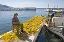 Ayios Nikolaos, in The Outer Mani, Southern Peloponnese, Greece.<br><br><br><br><br><br>