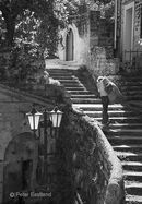 Proastio, near Kardamyli in the Outer Mani, Southern Peloponnese, Greece.<br><br><br><br><br><br><br><br>