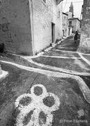 Proastio, near Kardamyli in the Outer Mani, Southern Peloponnese, Greece.<br><br><br><br><br><br><br><br>