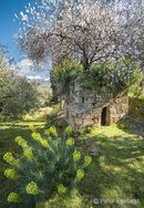Ruined chapel and Spring flowers, Proastio, Messinia, Greece.<BR><BR><BR><br><br><br><br><br>