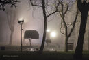 Night in the gardens of the Blue Mosque, Sultanahmet, Istanbul<br><br><br><br><br><br>